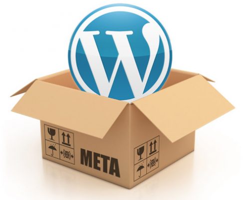 WordPress meta data