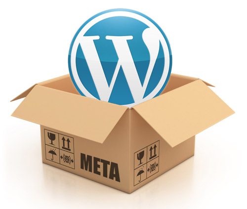 WordPress meta data