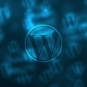 WordPress Theme Development Resources