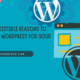 Why Choose WordPress for Your Website
