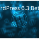 WordPress 6.3 Beta 3