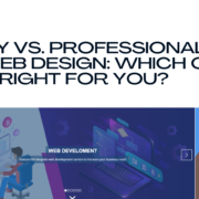 Professional Web Design