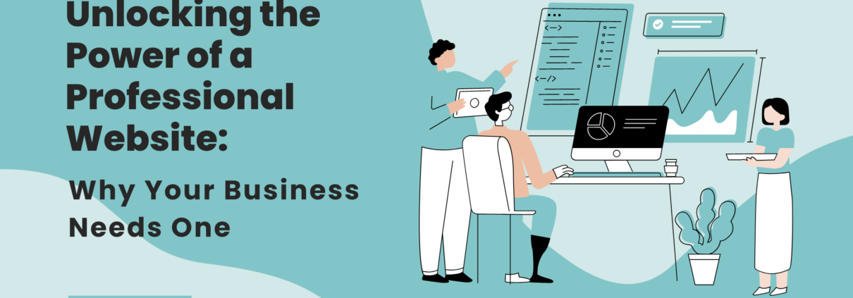 professional website