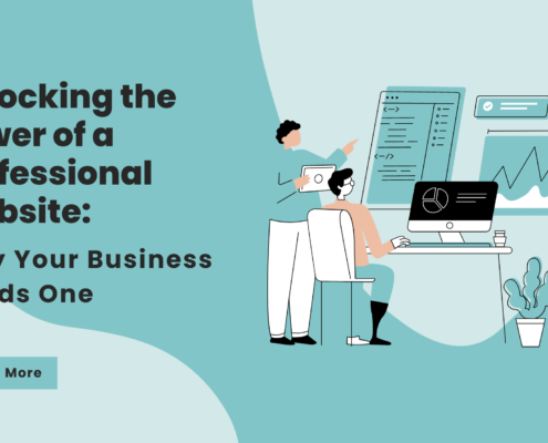 professional website