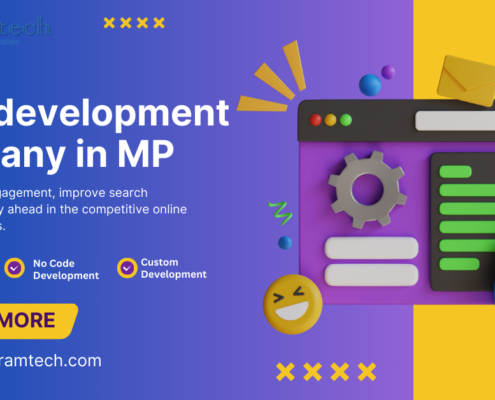 Web development company in MP